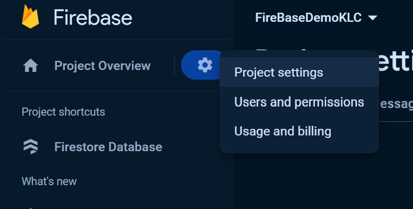 Project Settings - Using Cloud Firestore With Angular TypeScript - Kens Learning Curve